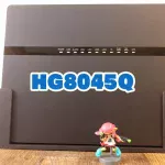 「NURO光」の ONU『HG8045Q』で Nintendo Switch を【NATタイプA】にする方法